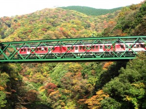 早川橋梁_秋