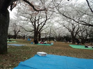 hanami