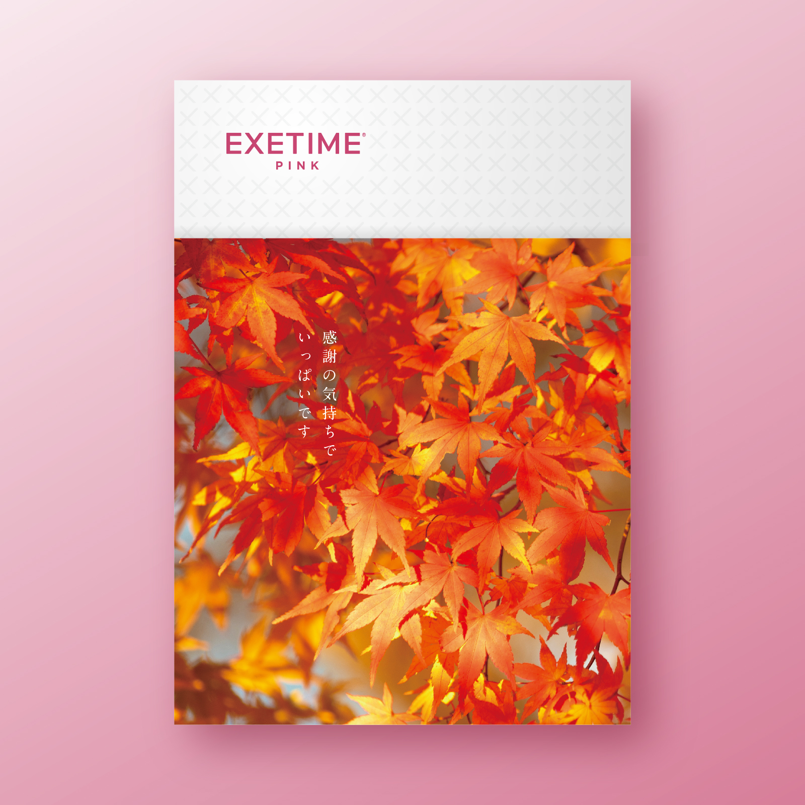 【紅葉】062