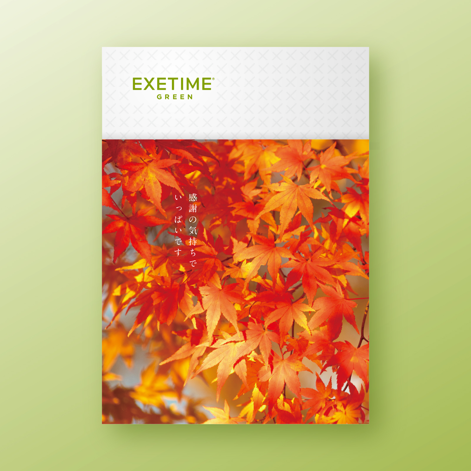 【紅葉】062