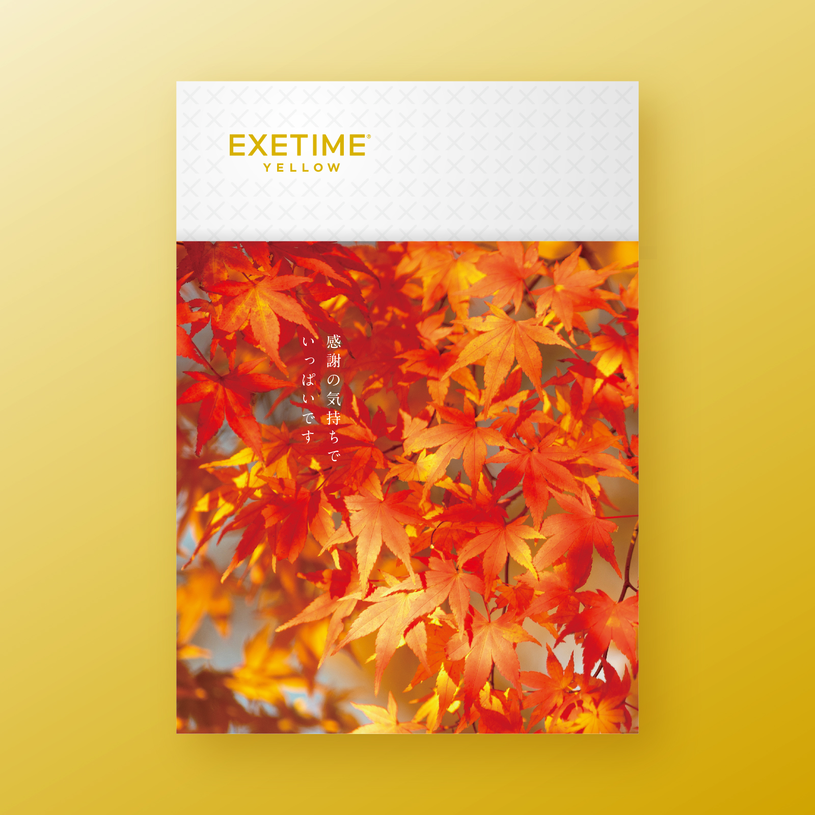 【紅葉】062