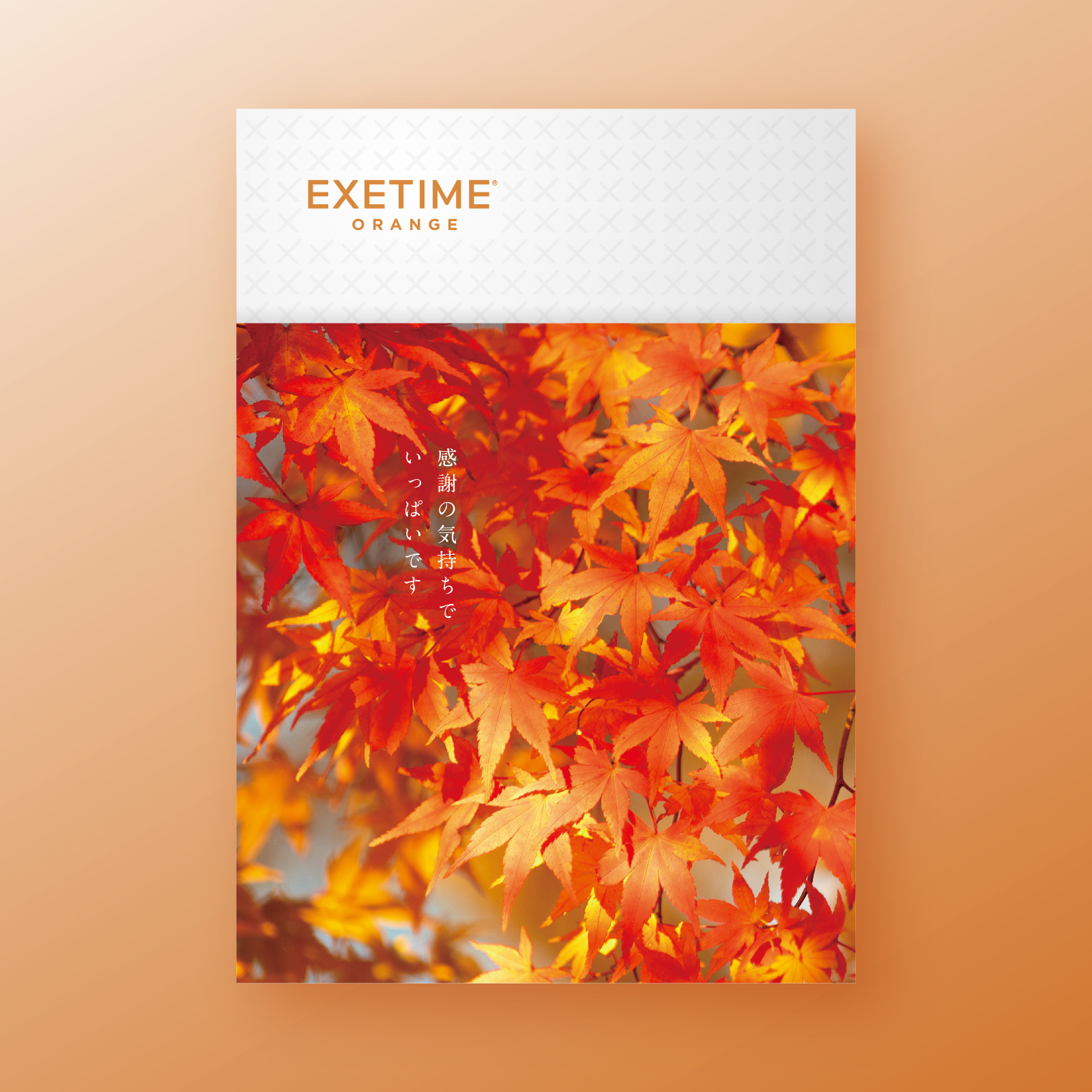 【紅葉】062