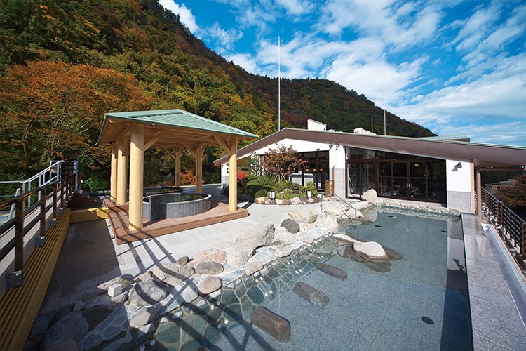 お得な交通フリーパスと美術館のチケット付、箱根湯本の天成園
