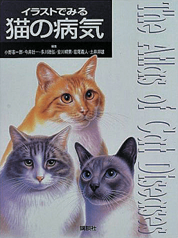 獣医師によるペットの医療相談&ホームケアセット(猫用)