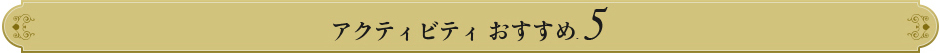 アクティビティおすすめ５